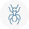 Ant Removals In Brixton Hill