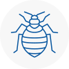 Bed Bug Extermination In Brixton Hill