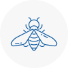 Bee Nest Removal Brixton Hill