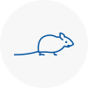 Mice Exterminators In Brixton Hill