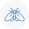 Moth Control Specialists In Brixton Hill