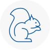 Brixton Hill Rodent Removals